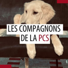 Animaux de compagnie des patrouilleurs – Février 2025