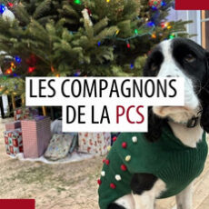 Animaux de compagnie des patrouilleurs – Avril 2025