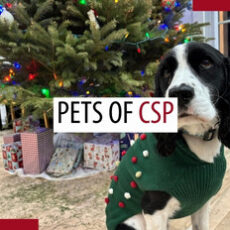 Pets of patrollers – April 2025 Pets of patrollers – April 2025