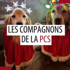 Animaux de compagnie des patrouilleurs – Mai 2025