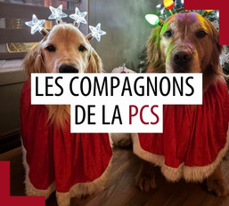 Animaux de compagnie des patrouilleurs – Mai 2025