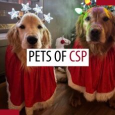 Pets of patrollers – May 2025 Pets of patrollers – May 2025