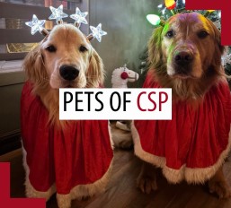 Pets of patrollers – May 2025