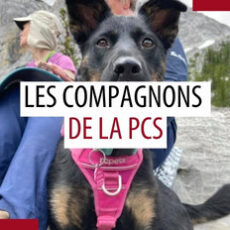 Animaux de compagnie des patrouilleurs – Juin 2025