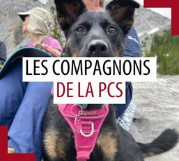 Animaux de compagnie des patrouilleurs – Juin 2025
