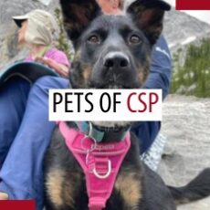 Pets of patrollers – June 2025