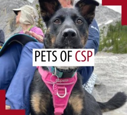 Pets of patrollers – June 2025