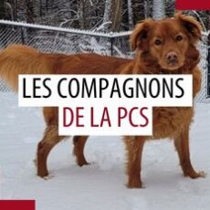 Animaux de compagnie des patrouilleurs – Juillet 2025