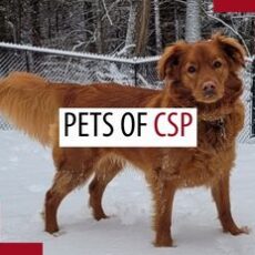 Pets of patrollers – July 2025 Pets of patrollers – July 2025