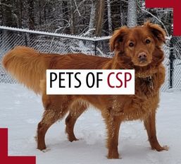 Pets of patrollers – July 2025 Pets of patrollers – July 2025