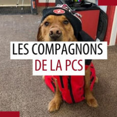 Animaux de compagnie des patrouilleurs – Août 2025