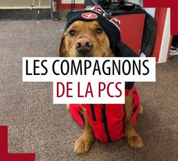Animaux de compagnie des patrouilleurs – Août 2025
