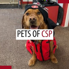 Pets of patrollers – August 2025 Pets of patrollers – August 2025