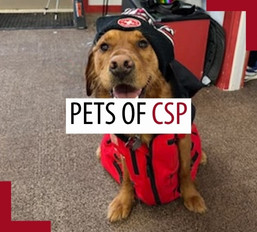 Pets of patrollers – August 2025 Pets of patrollers – August 2025