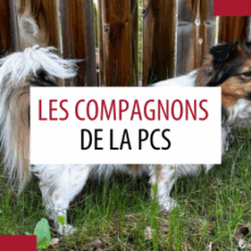 Animaux de compagnie des patrouilleurs – Septembre 2025 Animaux de compagnie des patrouilleurs – Septembre 2025