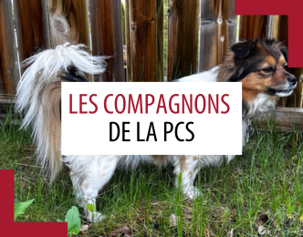 Animaux de compagnie des patrouilleurs – Septembre 2025 Animaux de compagnie des patrouilleurs – Septembre 2025