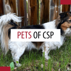 Pets of patrollers – September 2025