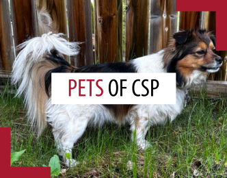 Pets of patrollers – September 2025