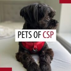 Pets of patrollers – December 2025 Pets of patrollers – December 2025