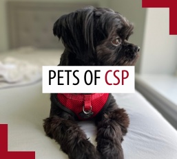 Pets of patrollers – December 2025