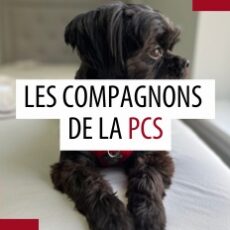 Animaux de compagnie des patrouilleurs – Décembre 2025