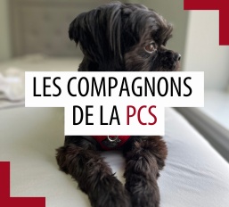 Animaux de compagnie des patrouilleurs – Décembre 2025 Animaux de compagnie des patrouilleurs – Décembre 2025