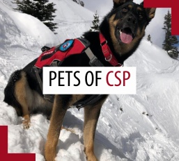 Pets of patrollers – February 2026