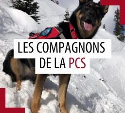 Animaux de compagnie des patrouilleurs – Février 2026