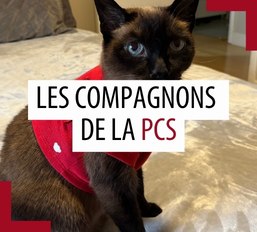Animaux de compagnie des patrouilleurs – Mars 2025