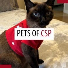 Pets of patrollers – March 2026