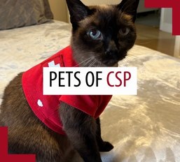 Pets of patrollers – March 2026