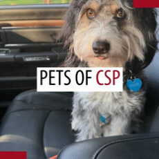 Pets of patrollers – July 2026 Pets of patrollers – July 2026