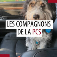 Animal de compagnie des patrouilleurs – Juillet 2025 Animal de compagnie des patrouilleurs – Juillet 2025