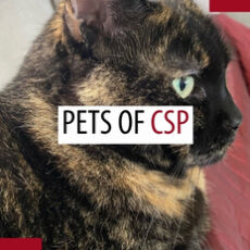 Pets of patrollers – August 2026 Pets of patrollers – August 2026