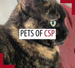 Pets of patrollers – August 2026 Pets of patrollers – August 2026