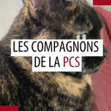 Animal de compagnie des patrouilleurs – Août 2025 Animal de compagnie des patrouilleurs – Août 2025
