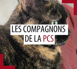 Animal de compagnie des patrouilleurs – Août 2025 Animal de compagnie des patrouilleurs – Août 2025