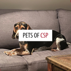 Pets of patrollers – September 2026 Pets of patrollers – September 2026