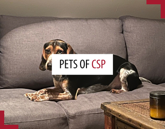 Pets of patrollers – September 2026 Pets of patrollers – September 2026