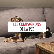 Animal de compagnie des patrouilleurs – Septembre 2026