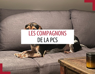 Animal de compagnie des patrouilleurs – Septembre 2026 Animal de compagnie des patrouilleurs – Septembre 2026