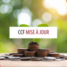 Du nouveau à propos du comité consultatif en finances