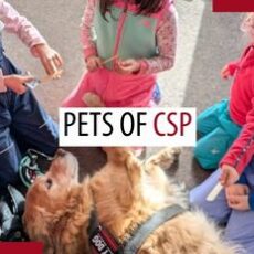 Pets of patrollers – October 2026 Pets of patrollers – October 2026