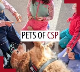 Pets of patrollers – October 2026 Pets of patrollers – October 2026