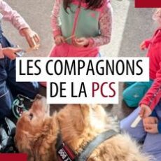Animal de compagnie des patrouilleurs – Octobre 2026